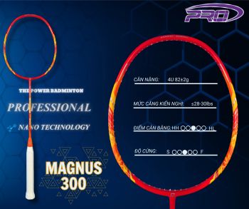 PRO MAGNUS 300